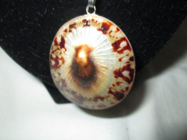 Beautiful Shell necklace trimmed in sterling silver with sterling chain