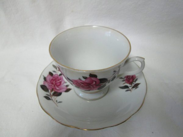 Beautiful Vintage Tea Cup and Saucer Fine Bone China Floral Rose Pattern