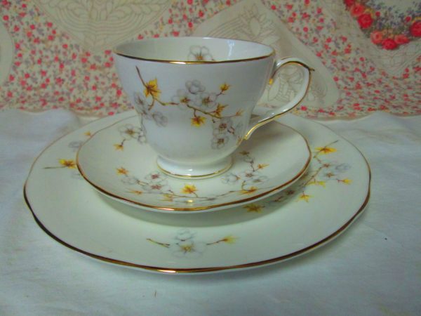 Fantastic Fine Bone China Tea Cup Saucer & Dessert Plate North Carolina State Flower Dogwood Royal Worcester England