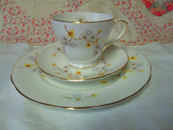 Fantastic Fine Bone China Tea Cup Saucer & Dessert Plate North Carolina State Flower Dogwood Royal Worcester England