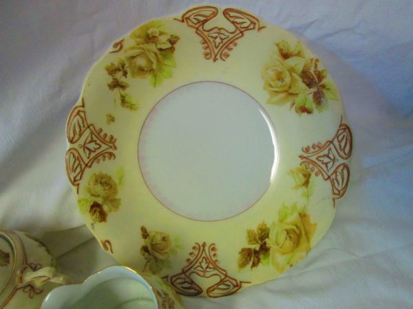 Old Ivory 1800's Germany Fine Bone china dinnerware Misc. 22 pieces no damage