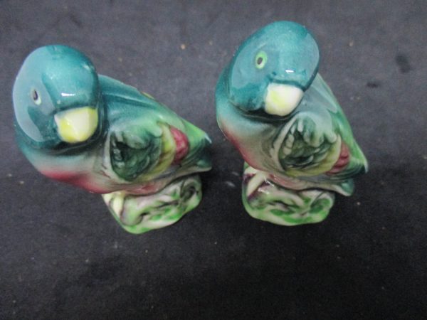 Porcelain Parrots Salt & Pepper Shaker Farmhouse Collectible Country Cottage Shabby Chic display