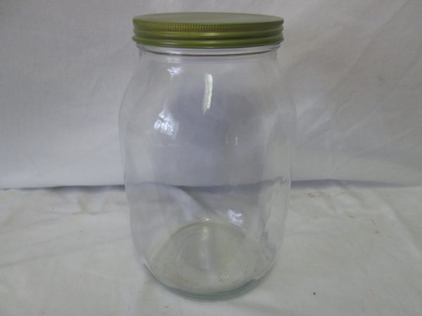 Vintage glass kitchen storage Jar green metal lid 1 gallon marbles, display, buttons, collectibles, dog cat treats and More farmhouse