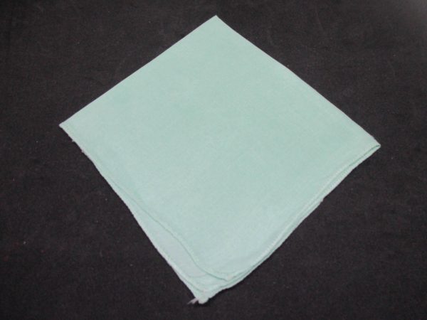 Vintage Hanky Handkerchief collectible display cottage cotton light green with white edges 12" x 12"