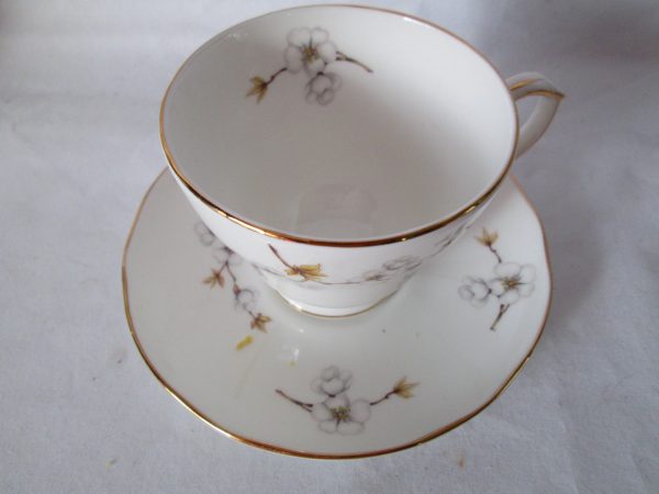 Vintage Tea cup and saucer Duchess Dogwood White with brown & mustard color leaves England