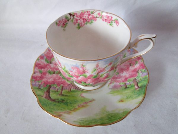Vintage Tea cup and saucer Royal Albert Fine bone china pink floral trees Beautiful scene Blossom time