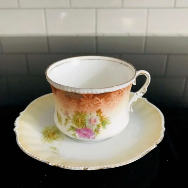 Antique Demitasse Tea cup and Saucer Austria Germany detailed floral trimmed with raised dots farmhouse collectible display