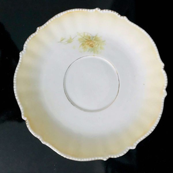 Antique Demitasse Tea cup and Saucer Austria Germany detailed floral trimmed with raised dots farmhouse collectible display