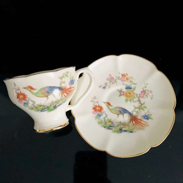 Antique Demitasse Tea cup and saucer Lenegia Crown bird of Paradise fine bone China French late 1800's collectible farmhouse vivid colors