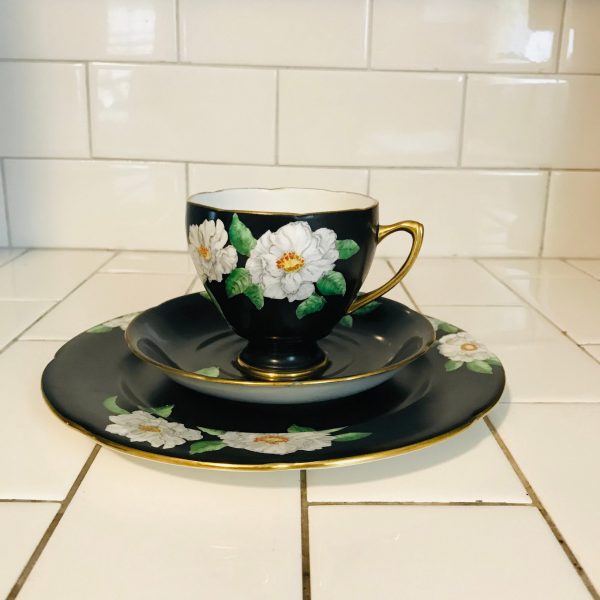 Antique Royal Grafton Tea cup and saucer TRIO England Fine bone china hand painted floral collectible display coffee farmhouse black & white