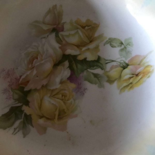 Antique RS Prussia Bowl Aqua with Roses & gold trim 1800's collectible display elegant fine bone china hand painted large bowl