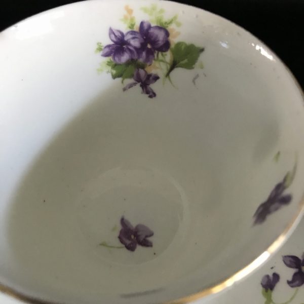 Antique Tea cup and saucer Trio Heathcote England Fine bone china purple Violets farmhouse collectible display coffee bridal