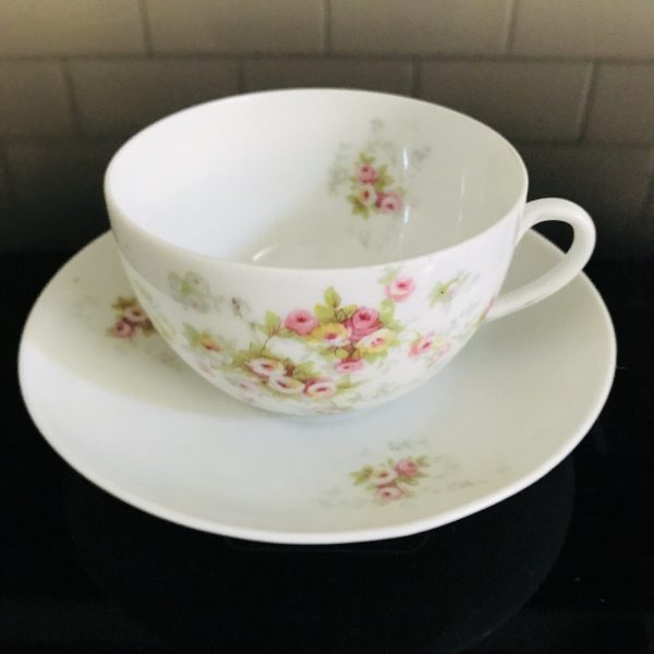 Antique Victoria Austria Tea cup and saucer delicate dainty pink flowers Fine bone china farmhouse collectible display cottage shabby chic