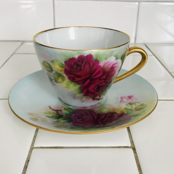 Bavaria Tea cup and saucer hand painted Burgundy & Pink Roses  background 1962 Western Germany Fine bone china collectible display
