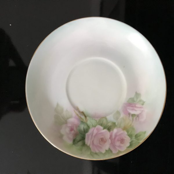 Bavaria Tea cup and saucer hand painted light Pink Roses on light blue background 1960 Western Germany Fine bone china collectible display