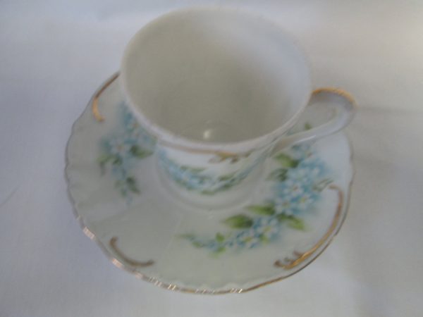 Beautiful Hand Painted M.Z. Austria Demitasse tea cup and saucer Blue Floral with Gold Trim