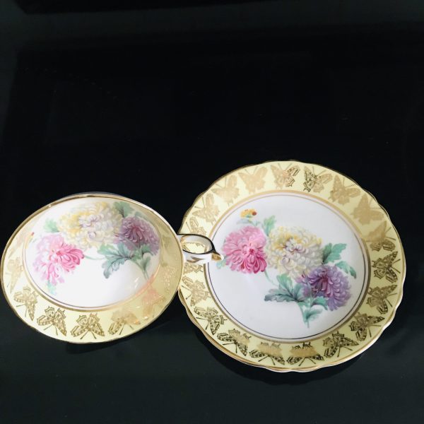 Fantastic Paragon Tea Cup and Saucer England Yellow & gold Butterfly trim bridal shower Collectible farmhouse Display Cottage serving coffee