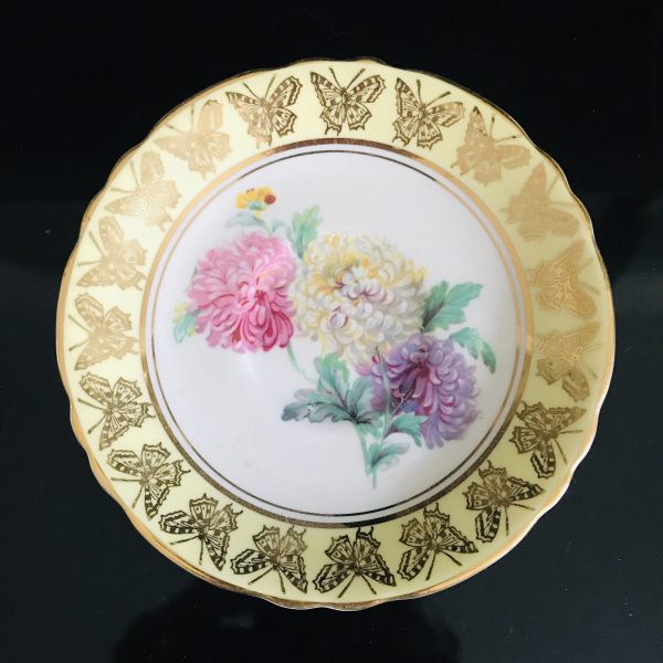 Fantastic Paragon Tea Cup and Saucer England Yellow & gold Butterfly trim bridal shower Collectible farmhouse Display Cottage serving coffee