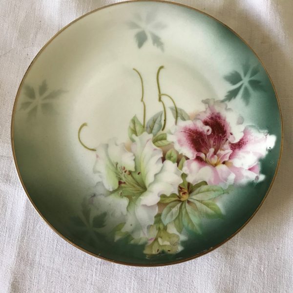 Georgous Hand Painted Pink Floral Plate P.V. Vessra Germany Farmhouse Collectible Shabby Chic Cottage Wedding Bridal Shower Fine china