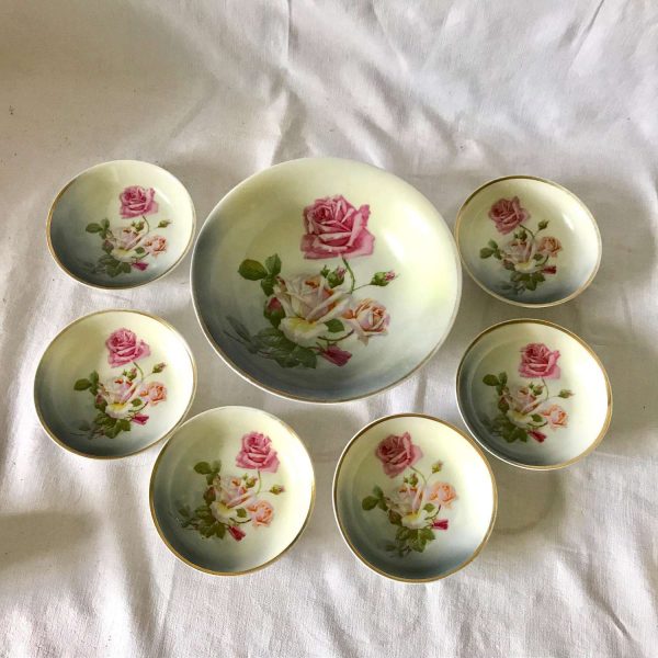Georgous Hand Painted Pink Rose Bowls 6 with Serving Bowl C.T. Altwasser Germany Farmhouse Collectible Shabby Cottage Wedding Bridal Shower
