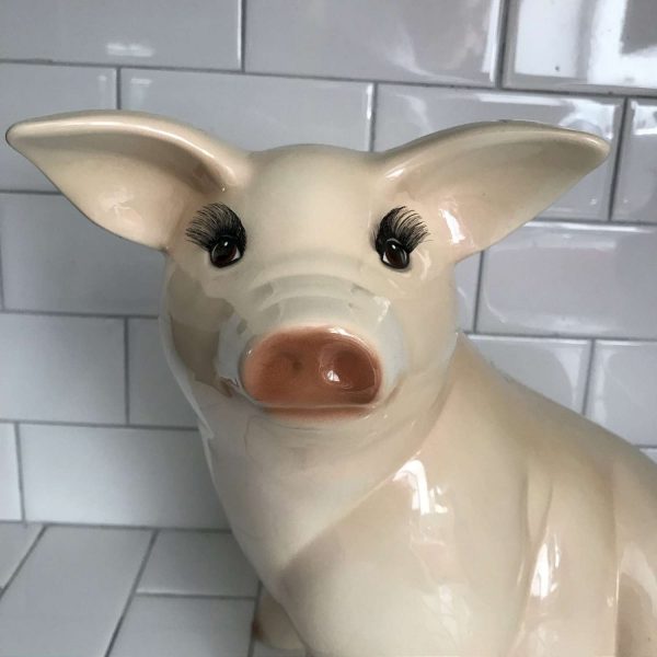 Giant Piggy Bank Robroy brand name great detail and coloring 12" tall 12" long farmhouse collectible display farm animals