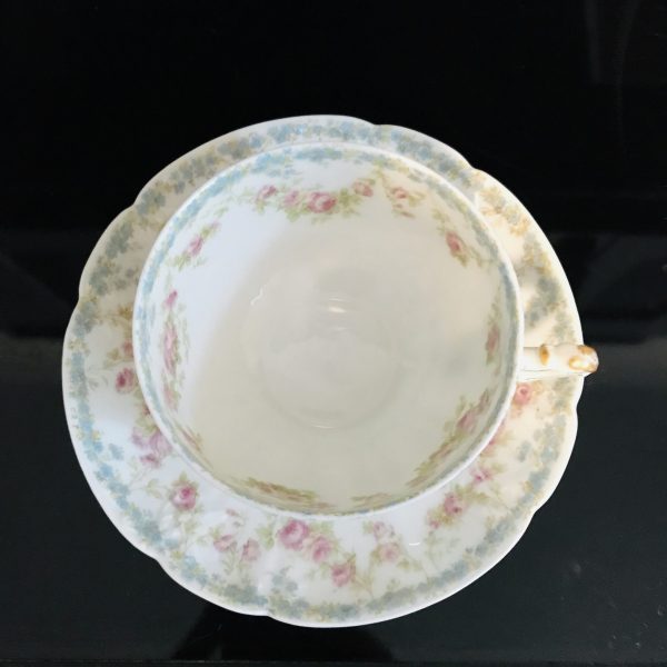 Limoges Tea Cup and Saucer Pink Rose Swag Fine bone china France light blue rim gold trim Collectible Display Farmhouse serving