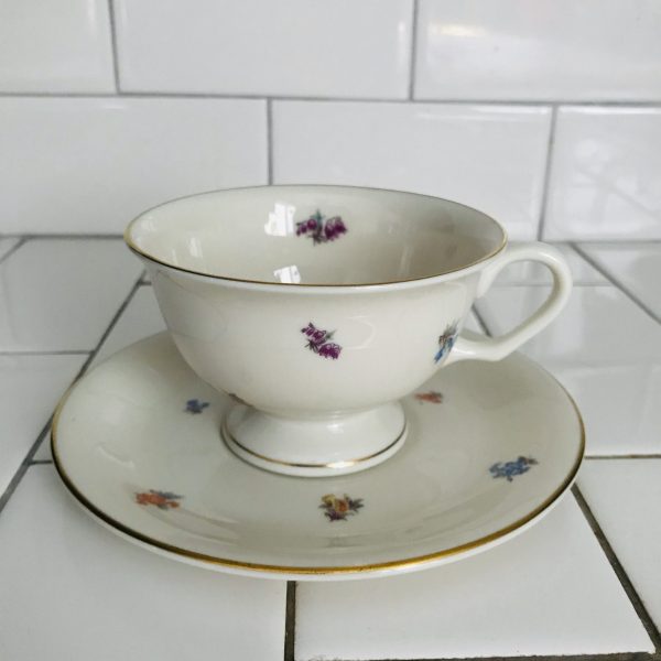 Pickard USA Tea cup and saucer Fine bone china Floral Chintz orange blue pink purple farmhouse collectible display coffee