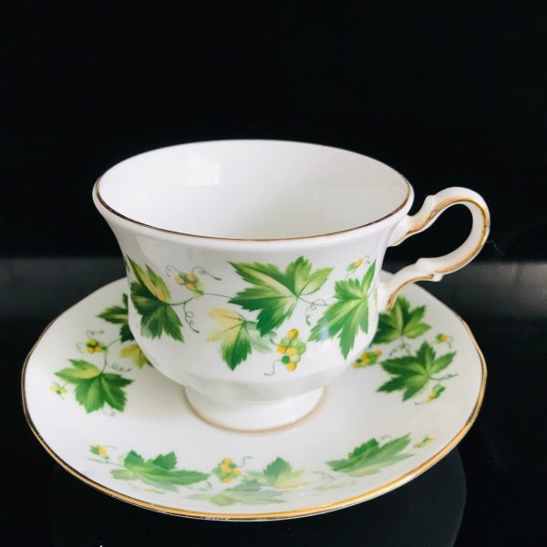 Queen Anne tea cup and saucer England Fine bone china Green Grape Vines and Leaves farmhouse collectible display