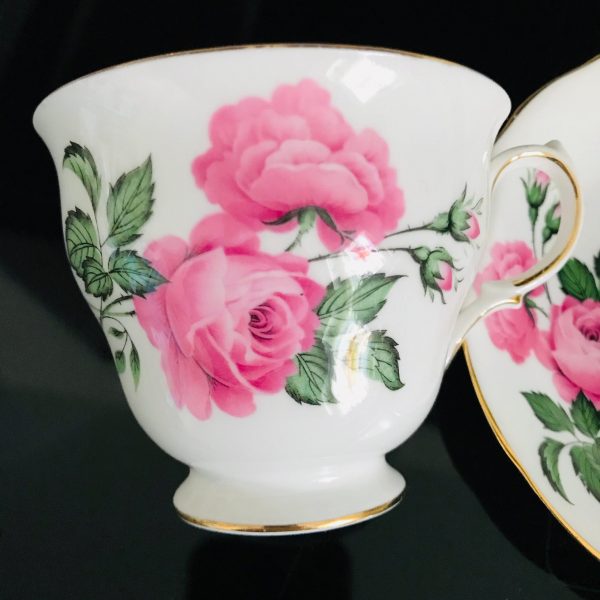Queen Anne tea cup and saucer England Fine bone china Large Pink Roses dark green leaves farmhouse collectible display coffee dining