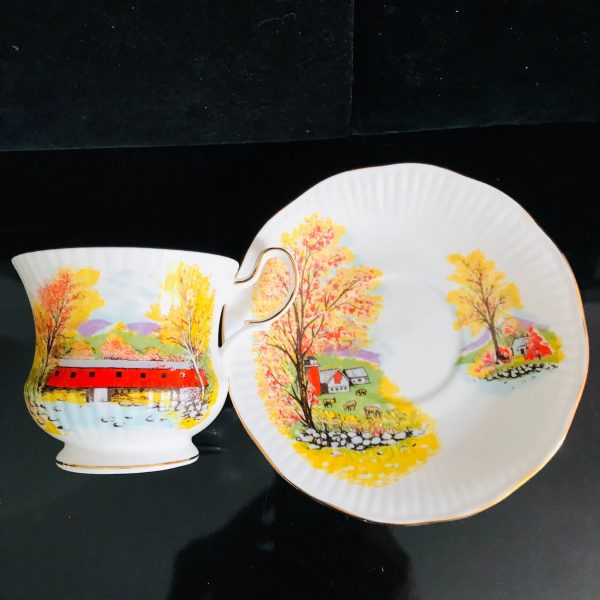 Queen's Autumn Covered Bridge tea cup and saucer England Fine bone china Fall colors bright orange collectible display cottage lodge coffee
