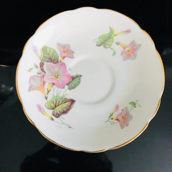 Regency Tea cup and saucer England Fine bone china Convolvulus light pink lavender flowers farmhouse collectible display bridal