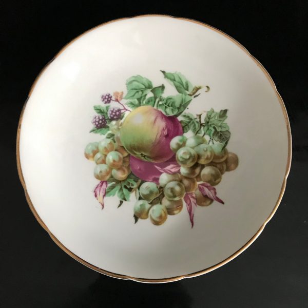 Regency Tea cup and saucer England Fine bone china Gorgeous Fruit Orchard Pattern purple green pink farmhouse collectible display bridal