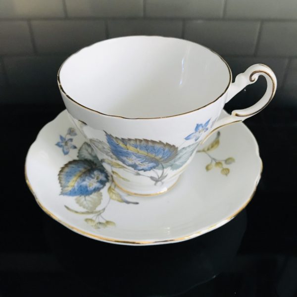 Regency Tea cup and saucer England Fine bone china Large blue leaves and flowers Floral farmhouse collectible display cottage coffee