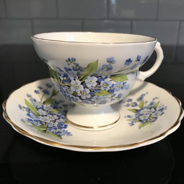 Rosina Tea Cup and Saucer Fine bone china England Tiny blue flowers Floral Collectible Display Farmhouse Cottage Coffee serving