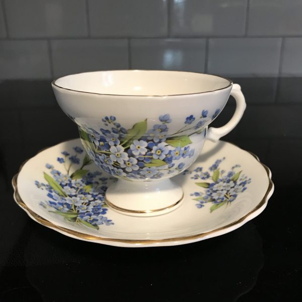 Rosina Tea Cup and Saucer Fine bone china England Tiny blue flowers Floral Collectible Display Farmhouse Cottage Coffee serving