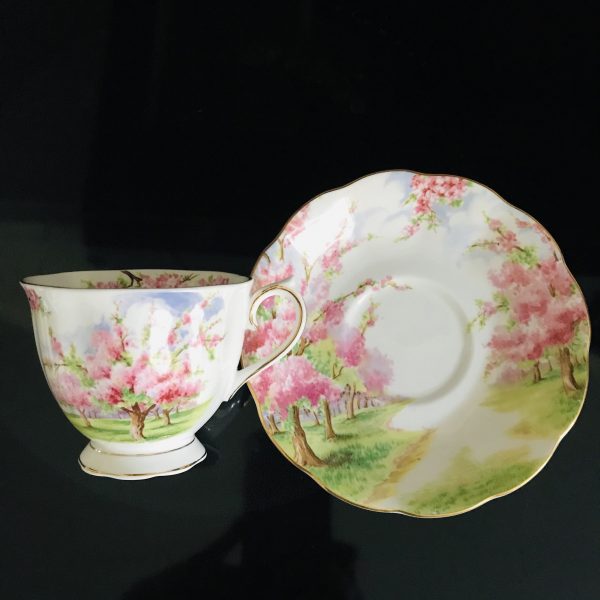 Royal Albert Tea cup and saucer Rose England Pink Landscape Blossom Time Cherry Trees Fine bone china farmhouse collectible display