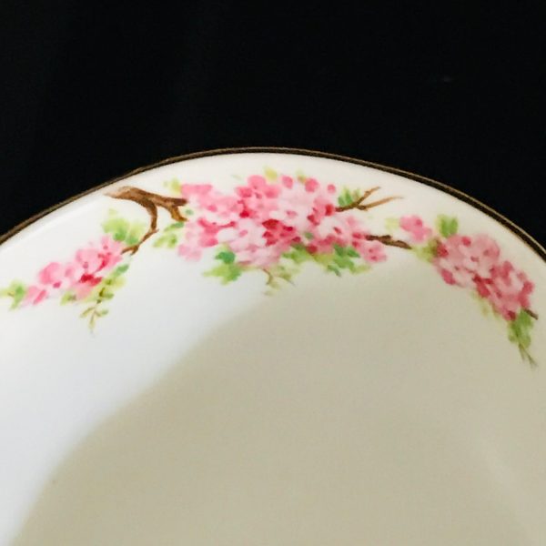 Royal Albert Tea cup and saucer Rose England Pink Landscape Blossom Time Cherry Trees Fine bone china farmhouse collectible display
