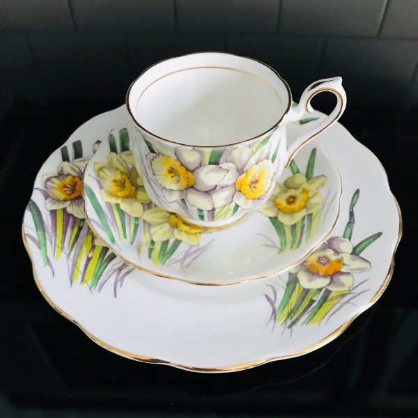 Royal Albert tea cup and saucer TRIO with snack luncheon plate Fine bone china Daffodil farmhouse collectible display cottage