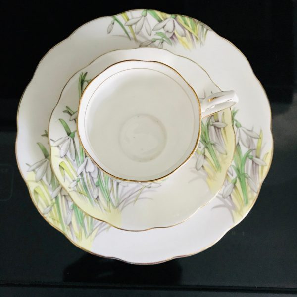 Royal Albert tea cup and saucer TRIO with snack luncheon plate Fine bone china Snowdrop farmhouse collectible display cottage