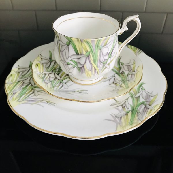 Royal Albert tea cup and saucer TRIO with snack luncheon plate Fine bone china Snowdrop farmhouse collectible display cottage