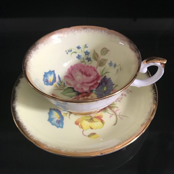 Royal Grafton Tea cup and saucer England Fine bone china Light yellow with Bright Fruit center collectible display coffee