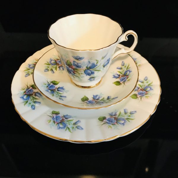 Royal Grafton Tea cup and saucer TRIO England Fine bone china blue and pink floral collectible display coffee bridal farmhouse black & white