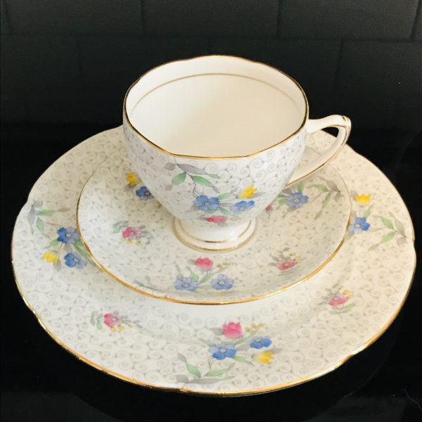 Royal Grafton Tea cup and saucer TRIO England Fine bone china gray Chintz with pink floral collectible display coffee farmhouse