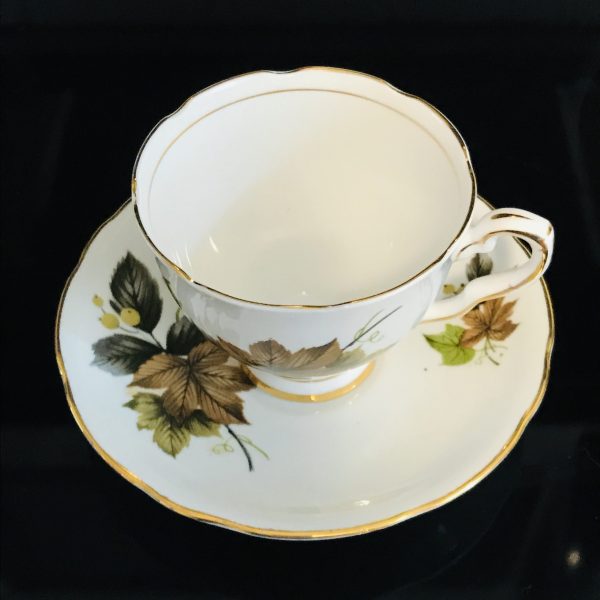 Royal Stafford Tea cup and saucer England Fine bone china Beechwood Fall leaves & light green berries  farmhouse collectible display cottage