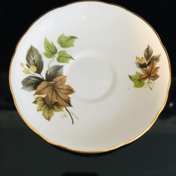 Royal Stafford Tea cup and saucer England Fine bone china Beechwood Fall leaves & light green berries  farmhouse collectible display cottage