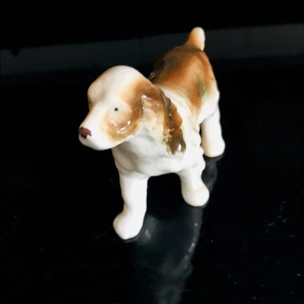 Springer Spaniel Dog Figurine gloss finish fine bone china Occupied Japan 5 1/4" across collectible display farmhouse cottage bedroom