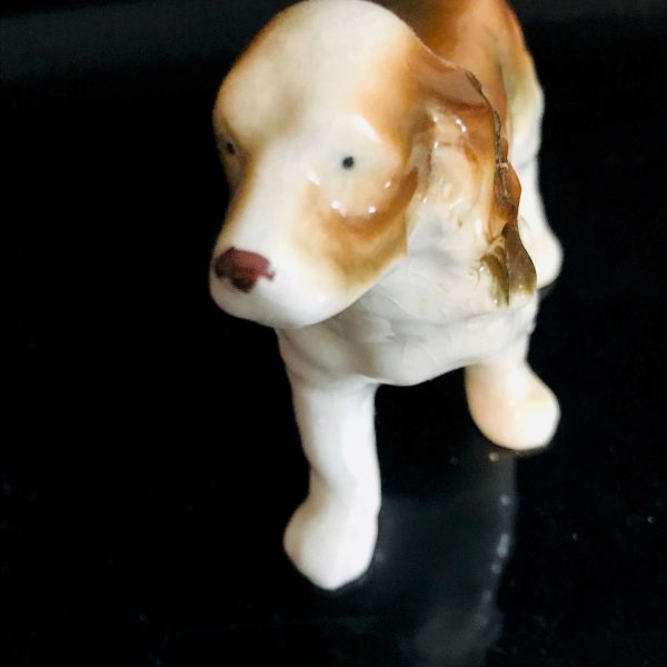 Springer Spaniel Dog Figurine gloss finish fine bone china Occupied Japan 5 1/4" across collectible display farmhouse cottage bedroom