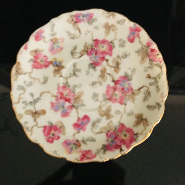 Tea cup and Saucer Chintz Pink lotus flowers and brown leaves and branches collectible display bridal shower coffee dining sering