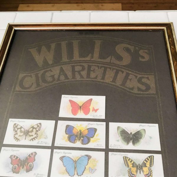Vintage 1927 Willis's Cigarette Players Cards Butterflies W.D. & H.O. Willis Mounted 14 x 24 collectible tobacco tobacciana display wall art