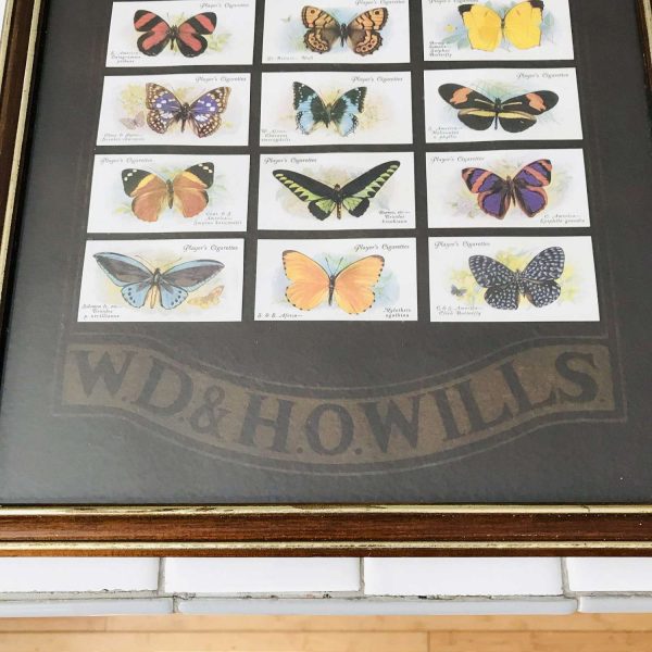 Vintage 1927 Willis's Cigarette Players Cards Butterflies W.D. & H.O. Willis Mounted 14 x 24 collectible tobacco tobacciana display wall art